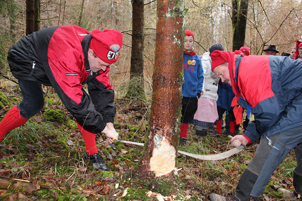 %_tempFileNamePJNaBaumFll_062%