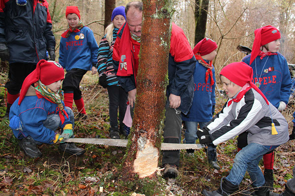 %_tempFileNamePJNaBaumFll_073%