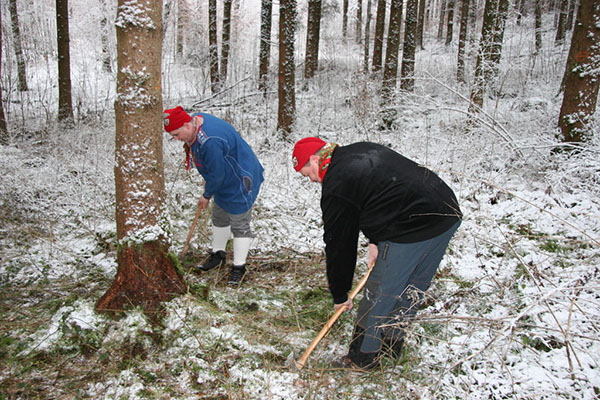 %_tempFileName02NBaumFllen_015%