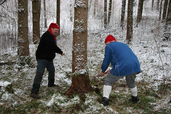 %_tempFileName02NBaumFllen_019%