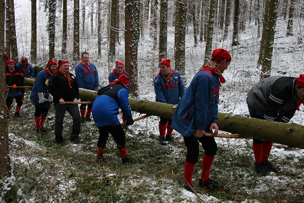 %_tempFileName02NBaumFllen_047%