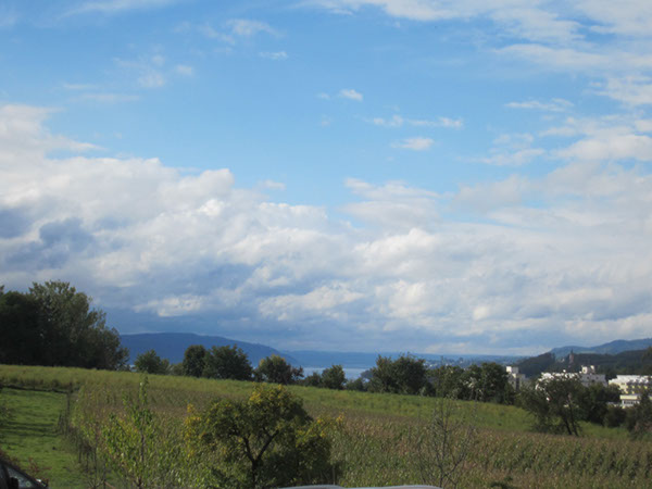 %_tempFileNameHBck_Asflg2013_078%