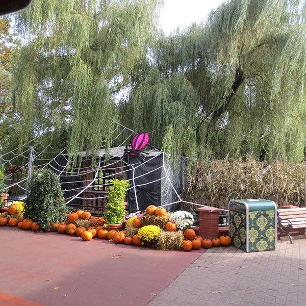 %_tempFileNameRW_EP_Rust13_081%