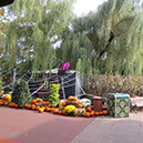 %_tempFileNameRW_EP_Rust13_081%