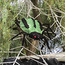 %_tempFileNameRW_EP_Rust13_089%