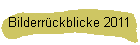 Bilderrckblicke 2011