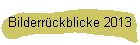 Bilderrckblicke 2013