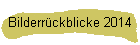 Bilderrckblicke 2014