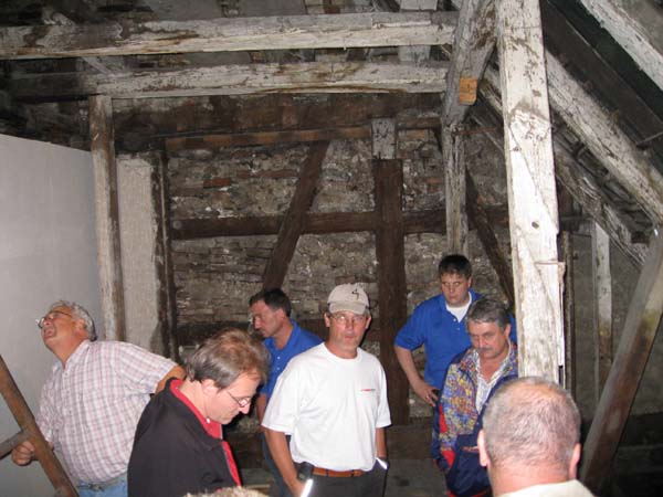 Zunfthaus Narrizella 028