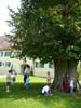 Langenstein_58