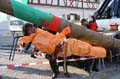 SchmuDo11_479