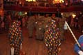 ZBall2012_035