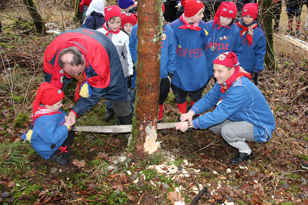 %_tempFileNamePJNaBaumFll_068%