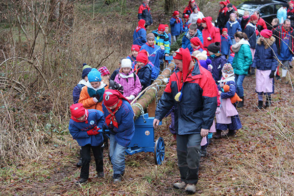 %_tempFileNamePJNaBaumFll_133%