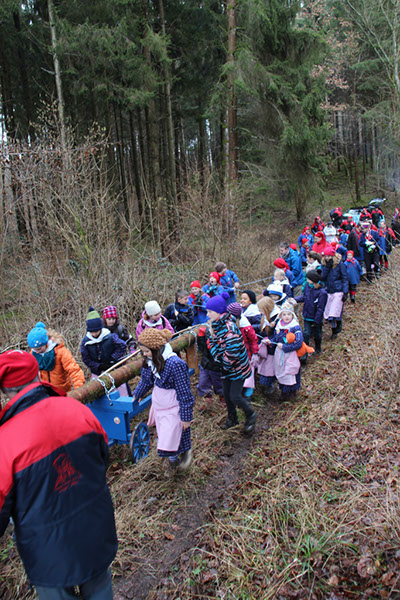 %_tempFileNamePJNaBaumFll_135%