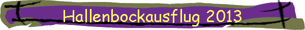 Hallenbockausflug 2013